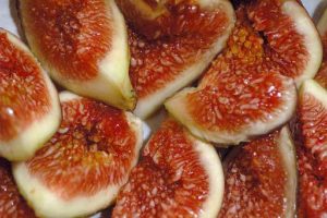 Fig Wiki
