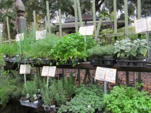 Herb Benches