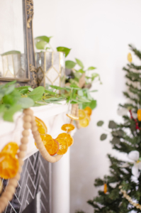 Dried Citrus Garland