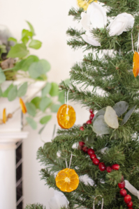 Dried Citrus Ornaments