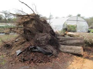 Tornado damage