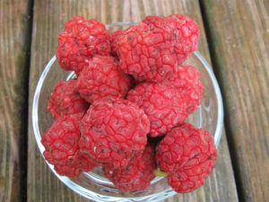 Manderine Melonberry Trees