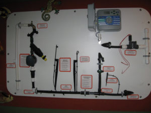 Micro Sprinkler Display