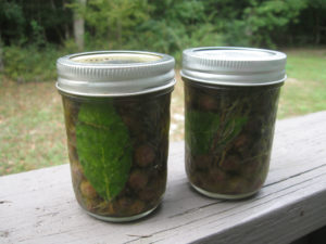 Prepared Olives