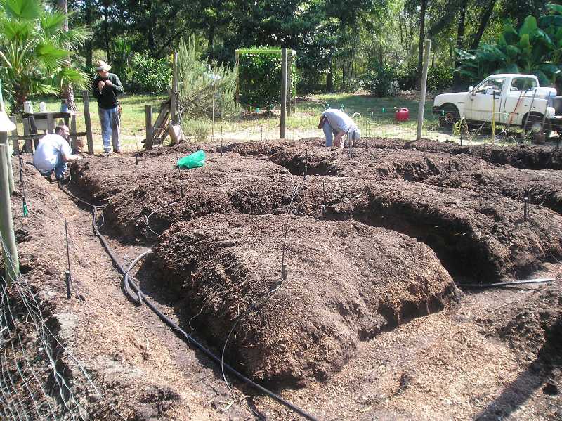 Vegetable Garden Beds